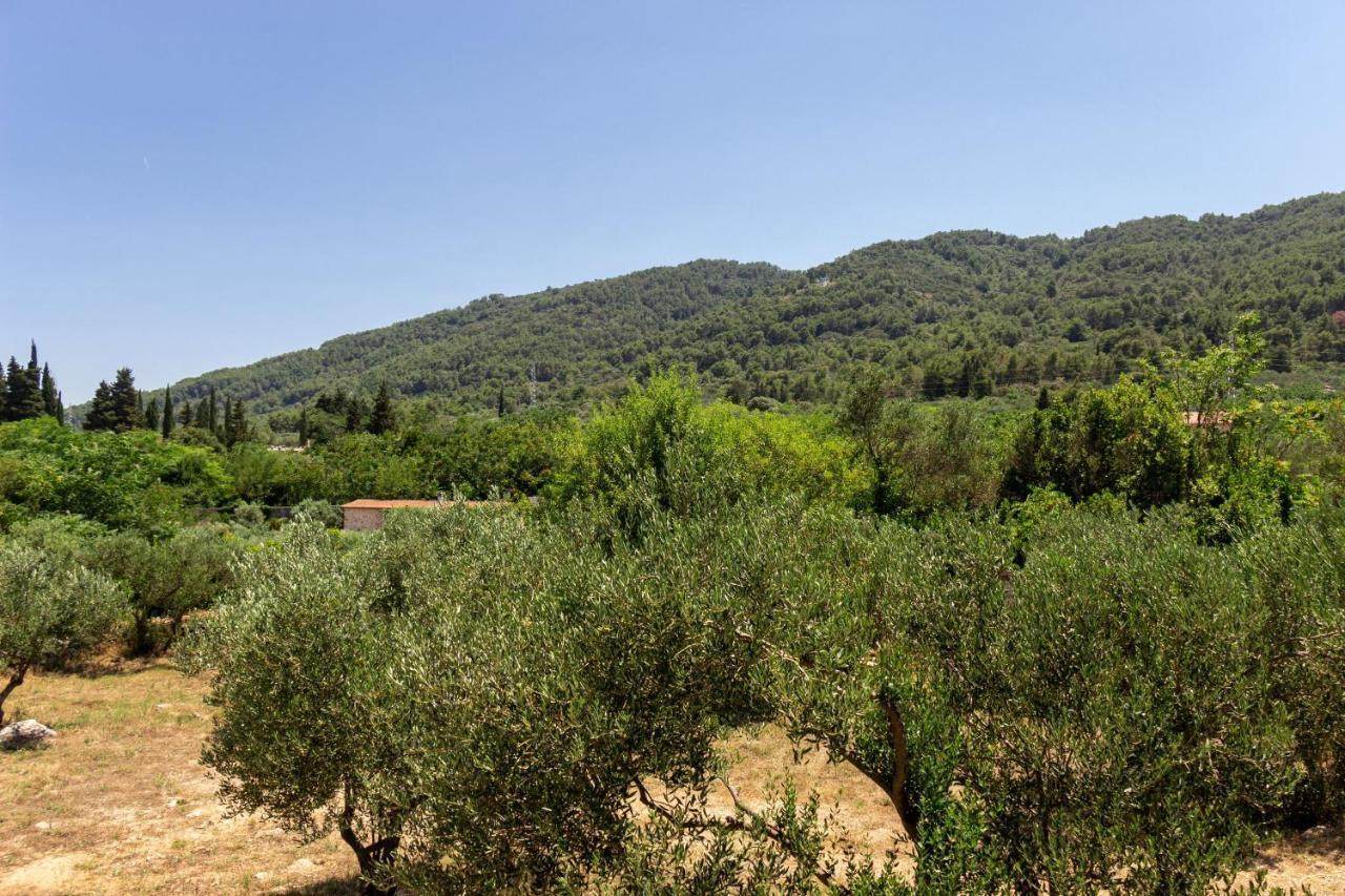 Apartment Mandalina House Stari Grad  Dış mekan fotoğraf